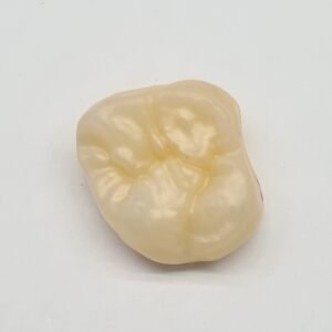 Protezų cirkonio vainiko gaminimo paslauga